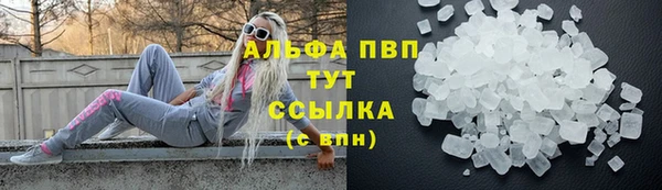 стаф Абинск