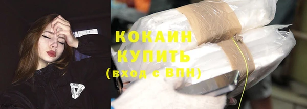 твердый Кулебаки
