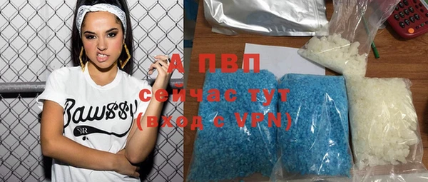 стаф Абинск