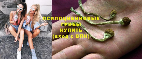 стаф Абинск