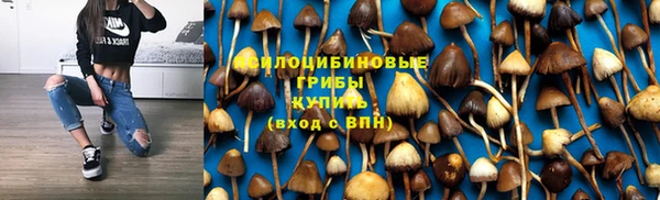 марки lsd Абаза